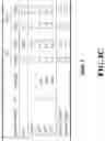 Fig. 19 - Training a Neural Network using Graph-Based Temporal Classification
