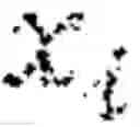 Fig. 04 - System and method for deep enriched neural networks for time series forecasting