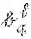 Fig. 29 - System and method for deep enriched neural networks for time series forecasting
