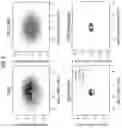 Fig. 07 - Systematic approach for explaining machine learning predictions