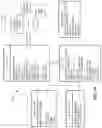 Fig. 15 - System and method for evaluating images to support multiple risk applications