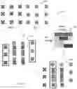Fig. 11 - Systems and methods for assessing, correlating, and utilizing online browsing and sales data