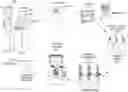Fig. 01 - CUSTOMIZED SKIN CARE