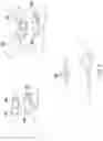 Fig. 06 - Image Modification to Generate Ghost Mannequin Effect in Image Content
