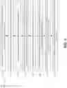 Fig. 09 - Determining a position of an object in a rotation corrected image