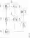 Fig. 04 - IMAGE QUALITY IMPROVEMENT METHODS FOR OPTICAL COHERENCE TOMOGRAPHY