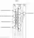 Fig. 07 - Structure Estimation System and Structure Estimation Program