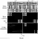 Fig. 14 - Knowledge-based object localization in images for hardware assurance