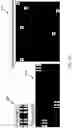 Fig. 15 - Knowledge-based object localization in images for hardware assurance