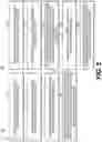 Fig. 11 - Systems and methods for processing electronic images for biomarker localization