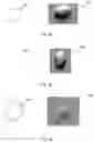 Fig. 08 - METHOD FOR EVALUATING ADHERENT CELL, RECORDING MEDIUM, AND SYSTEM FOR EVALUATING ADHERENT CELL