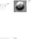 Fig. 09 - METHOD FOR EVALUATING ADHERENT CELL, RECORDING MEDIUM, AND SYSTEM FOR EVALUATING ADHERENT CELL