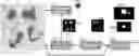 Fig. 01 - Tumor detection and segmentation for DPI AI platform routes