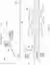Fig. 02 - Visual detection of haloclines