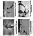 Fig. 08 - Method for indoor localization using deep learning