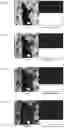 Fig. 07 - Image data obtaining method