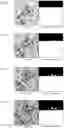 Fig. 09 - Image data obtaining method