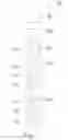 Fig. 02 - Computer-implemented method for determining at least one geometric parameter required for evaluating measurement data