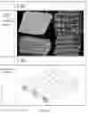 Fig. 04 - Method for rapid reconstruction of woven composite material microstructure based on topological features