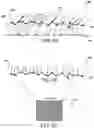 Fig. 03 - Ray-guided water caustics