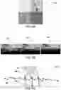 Fig. 08 - Ray-guided water caustics