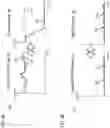 Fig. 05 - METHOD, APPARATUS, AND SYSTEM FOR PROVIDING DYNAMIC WINDOW DATA TRANSFER BETWEEN ROAD CLOSURE DETECTION AND ROAD CLOSURE VERIFICATION