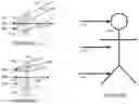 Fig. 11 - Visual communication system