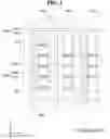 Fig. 04 - Pixel and method for driving pixel
