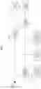 Fig. 02 - Display apparatus that controls amount of light from light source in accordance with video signal, and control method therefor