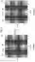 Fig. 07 - Method and apparatus for compensating luminance of display device