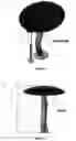 Fig. 02 - Outdoor mushroom instruments