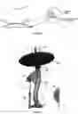 Fig. 04 - Outdoor mushroom instruments