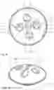 Fig. 06 - Handpan