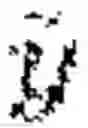 Fig. 05 - Multi-dialect and multilingual speech recognition