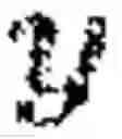 Fig. 08 - Multi-dialect and multilingual speech recognition