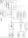 Fig. 10 - Contextual content for voice user interfaces