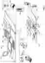 Fig. 05 - Determining hotword suitability