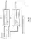 Fig. 25 - Apparatus and method for encoding or decoding directional audio coding parameters using quantization and entropy coding