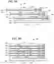 Fig. 09 - Adjacent memory cell interference mitigation