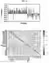 Fig. 12 - SYSTEM AND METHOD FOR PROVIDING NEOANTIGEN IMMUNOTHERAPY INFORMATION BY USING ARTIFICIAL-INTELLIGENCE-MODEL-BASED MOLECULAR DYNAMICS BIG DATA