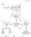 Fig. 01 - RANDOMIZATION HONORING METHODS TO ASSESS THE SIGNIFICANCE OF INTERVENTIONS ON OUTCOMES IN DISORDERS