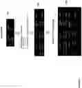 Fig. 49 - METHOD FOR AN AI POWERED AUTOMATED ANALYZER FOR DISPLAYING COMPREHENSIVE MEDICAL REPORTS, A SUPERVISED LEARNING ML CLASSIFIER FOR AUTOMATED PROTOCOL CHANGE, A REINFORCEMENT LEARNING ML CLASSIFIER FOR PREDETERMINED PROTOCOL CHANGE, AN ITERATIVE OR RECURRENT NEURAL NETWORK NATURAL LANGUAGE PROCESSOR AND A SUCCESSIVE OR RECURSIVE NEURAL NETWORK NATURAL LANGUAGE PROCESSOR FOR MEDICAL LEARNING, UNDERSTANDING, PREDICTION, AND PRESCRIPTION