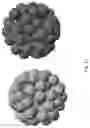Fig. 13 - Nano-Engineered Materials for LENR