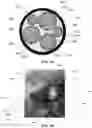 Fig. 04 - Power cord assembly containing recycled and renewable polymeric compositions