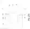 Fig. 79 - MAGNETIC ELEMENT AND MANUFACTURING METHOD THEREOF