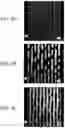 Fig. 06 - Ceramic electronic component and method of manufacturing the same