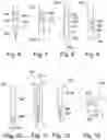Fig. 06 - ABLATING MATERIAL FOR AN OBJECT IN A PARTICLE BEAM DEVICE