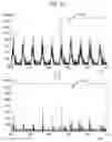 Fig. 13 - Apparatus and method for processing mass spectrum