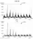 Fig. 14 - Apparatus and method for processing mass spectrum