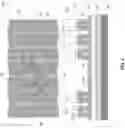 Fig. 04 - METHOD AND STRUCTURE FOR CUTTING DENSE LINE PATTERNS USING SELF-ALIGNED DOUBLE PATTERNING